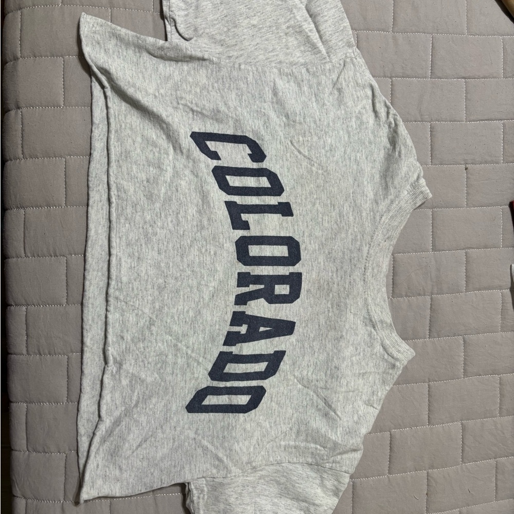 Gray Colorado Crop Tee
